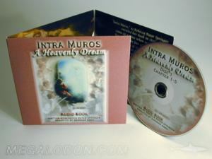 custom 3 cd set discs pocket trifold packaging