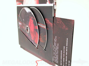 double disc dvd book set swinging sleeve booklet pocket