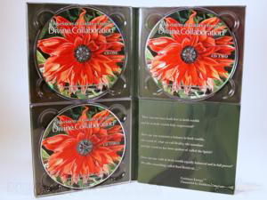 multidisc 3 disc set cd dvd 4pp tall digipak 3 trays foam panel 
