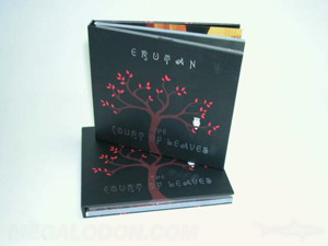 hardbound cd book red foil tray perfect bound inner pages