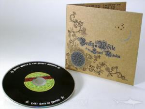 retro CD LP vinyl disc art fiberboard album metallic ink