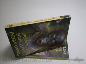 hardbound dvd book digibook spine thickness