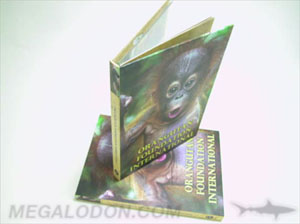 hardbound books dvd packaging digi book