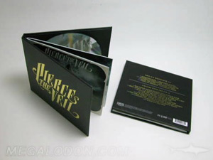 Double disc CD Book set foam hubs gold foil stamping