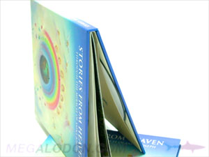 CD Book 2 discs glued on sleeves oversized