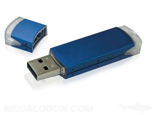 blue plastic usb thumb drive media dongle